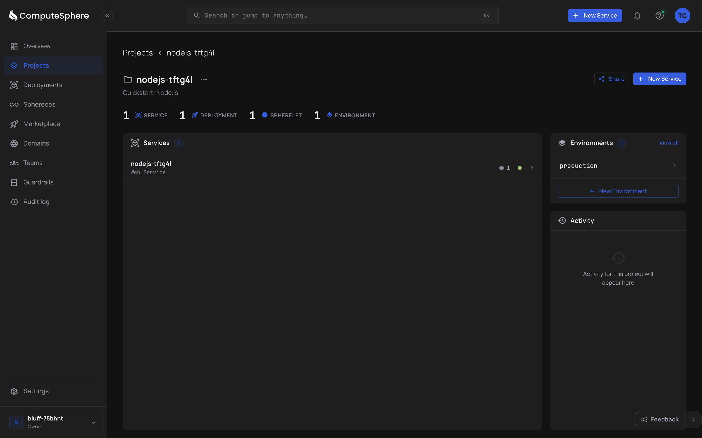 Project detail page with the services list, stats strip, and environments right rail
