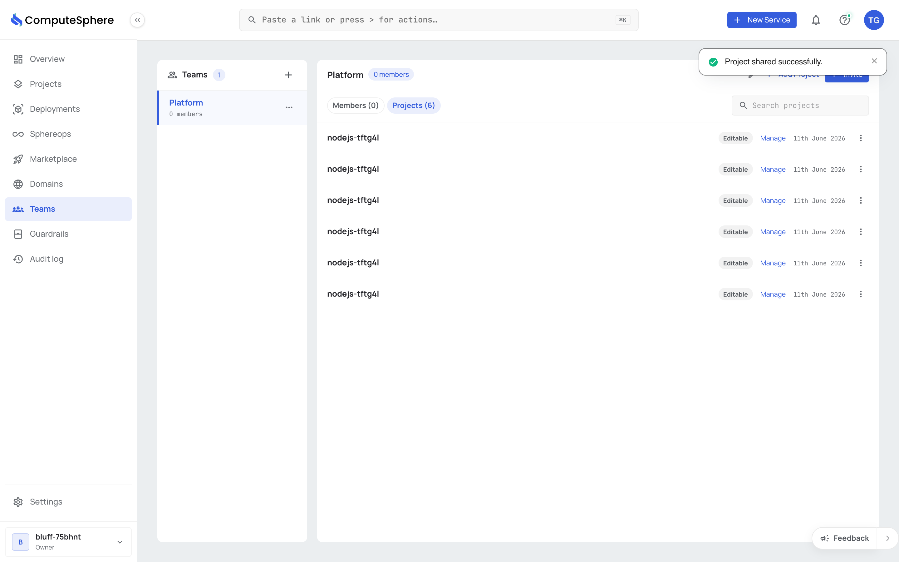 Newly shared project on the team's Projects tab
