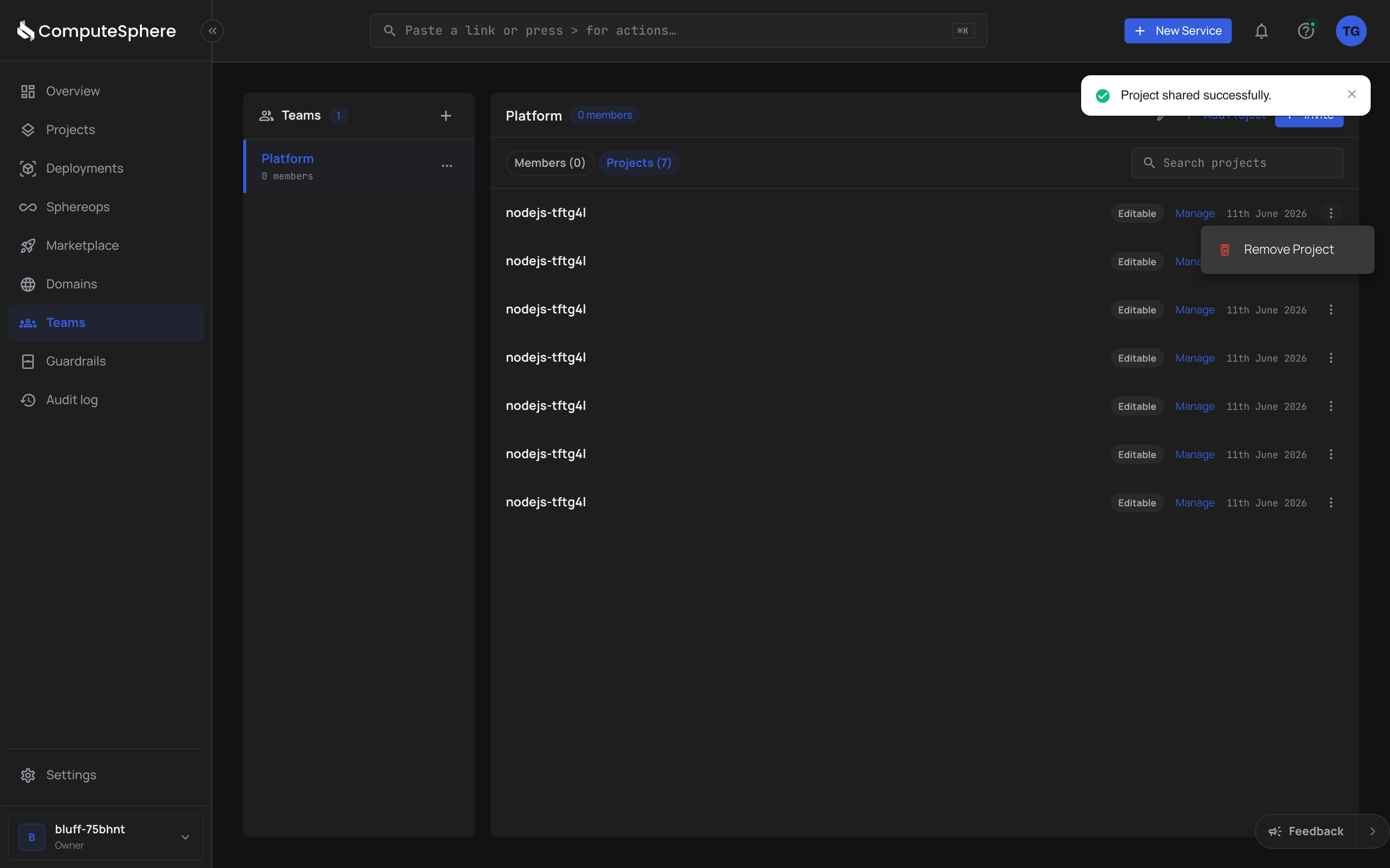Project row actions menu with Remove Project